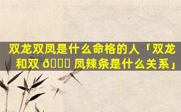 双龙双凤是什么命格的人「双龙和双 🐋 凤辣条是什么关系」